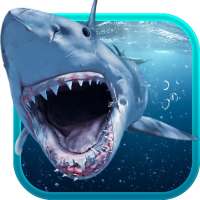 Shark Attack Animated Keyboard   Live Wallpaper on 9Apps