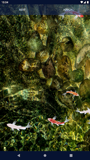 Fish 4K HD Koi Live Pond 3D screenshot 8