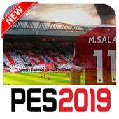 Guide PES 2019