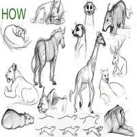 كيفية رسم الحيوانات من الألف إلى الياء