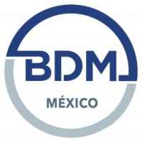 BDM México on 9Apps