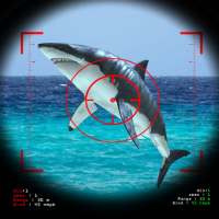 Liar Shark Fish Hunter 2016