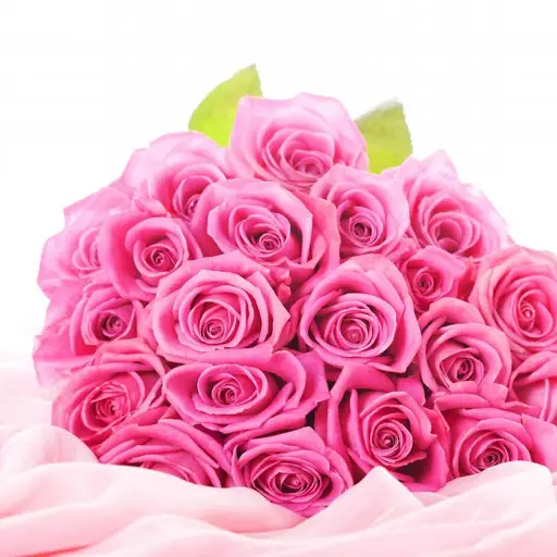 Pink Rose Live Wallpaper APK Download 2023 - Free - 9Apps