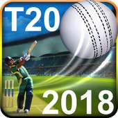 T20 Cricket Games 2018 HD 3D on 9Apps