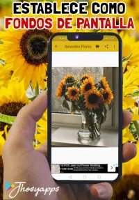 Descarga de la aplicación Girasoles de Amor?Frases de Amor y Fondos? 2023  - Gratis - 9Apps