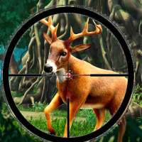 Wild Safari Animal Hunting:Sniper Shooting Games