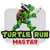 Turtle Run Master
