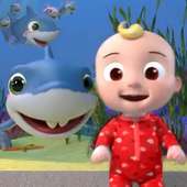 Nursery Baby Shark Rhymes on 9Apps