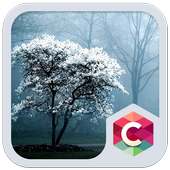 White Tree Theme C Launcher on 9Apps