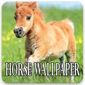 Horse Wallpapers Beautiful on 9Apps