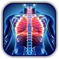 Chest X Ray - A Survival Guide on 9Apps