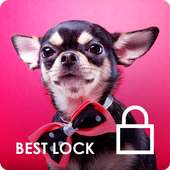 Chihuahua Little Cute Dog Lock Screen PIN Security