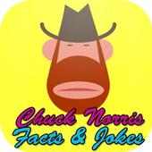 Top 100 Chuck Norris jokes