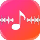 PlayerPro Music Player - Audio