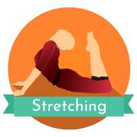 Stretching Exercises Flexibility : The Stretch App on 9Apps