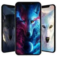 Wolf Wallpapers 🐺 🐺 🐺
