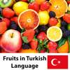 Learn Fruits Vegetables in Turkish