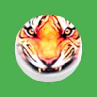BaghChal - Tigers and Goats on 9Apps