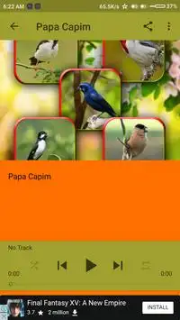 Descarga de APK de Canto Papa Capim Tui Tui Puro para Android