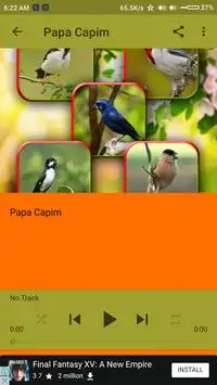 Canto De Papa Capim for Android - Free App Download