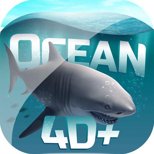 Ocean 4D 