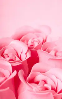 Pink Rose Live Wallpaper APK Download 2023 - Free - 9Apps Pink Rose Live Wallpaper APK Download 2023 - Free - 9Apps