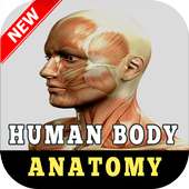 Anatomy of Human Body Organs on 9Apps