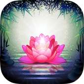 Free Guided Meditation on 9Apps