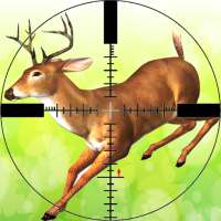 Deer Jungle Hunting : advance deer hunter classic