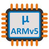 Video Converter ARMv5 Codec