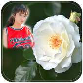 White Rose Photo Frame on 9Apps