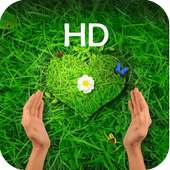 HD Live Wallpaper Free on 9Apps