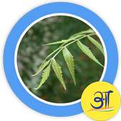 Neem Ayurveda Home Remedie नीम