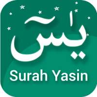 Surah Yaseen - Read Yasin Text And Offline MP3