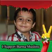 Support Burma Muslims DP