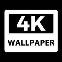 4K HD Wallpapers - World of Wallpaper
