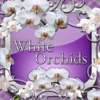White Orchids Go Launcher theme