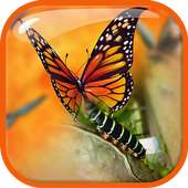 Insta Photo Blend Editor on 9Apps