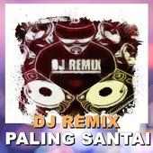 DJ REMIX PALING SANTAI on 9Apps