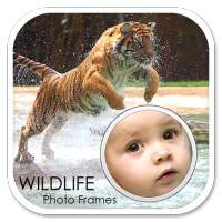 Wildlife Photo Frames