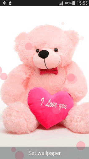 Teddy Bear Live Wallpapers  Free Downloads