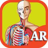 AR Human Organs on 9Apps
