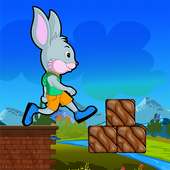 Bunny Rush Run