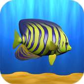 Finding Tappy Angel Fish Game