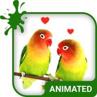 Lovebirds Animated Keyboard   Live Wallpaper on 9Apps