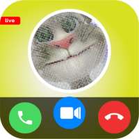 Call from 📱 tom-cat video call & talk   chat on 9Apps