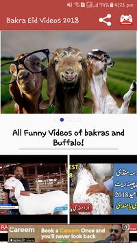 Bakra eid funny on sale video