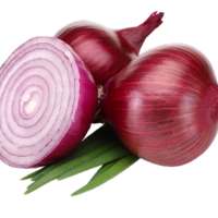 Health Benefits of Onions on 9Apps
