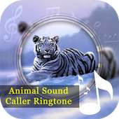 Animals Sound & Caller Ringtone on 9Apps