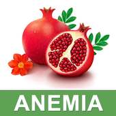 Anemia Care Help & iron Rich Nutrition Foods Diet on 9Apps